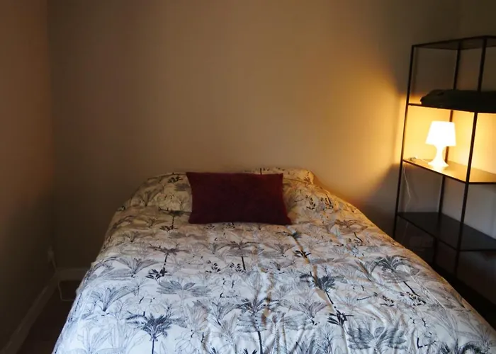 Joli Cocon - Centre Apartment *